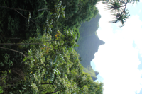 Majestic mountain peak above Limahuli Garden.